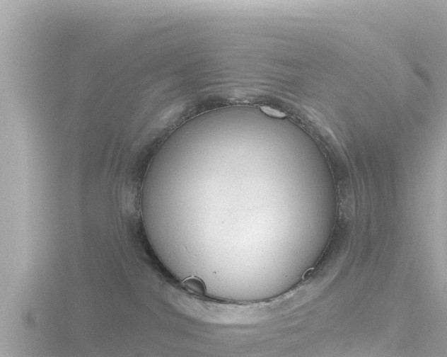 X0000116790044200912241211