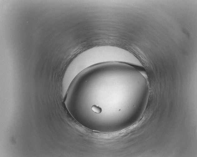 X0000116790045200912241211