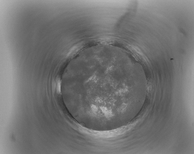 X0000116790046200912241210