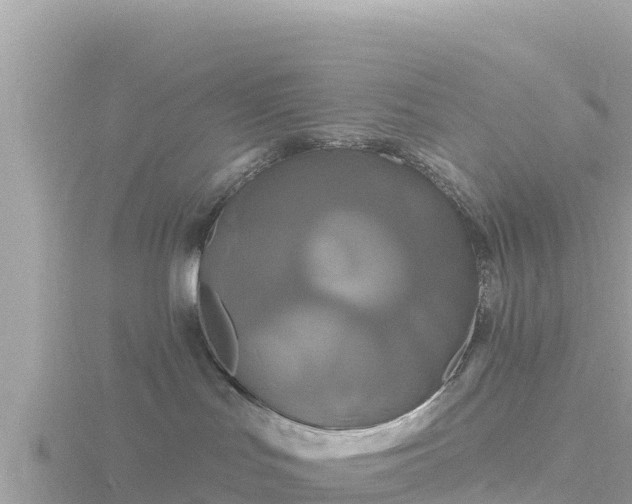 X0000116790047200912241210