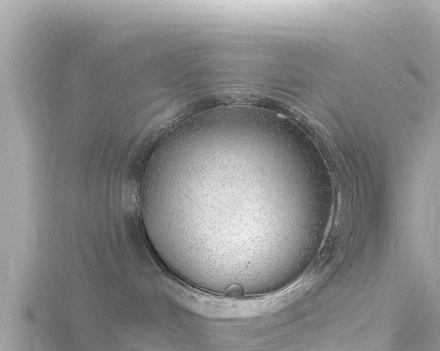 X0000116790048200912241210