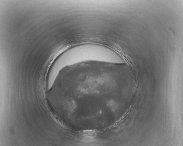 X0000116790050200912241210