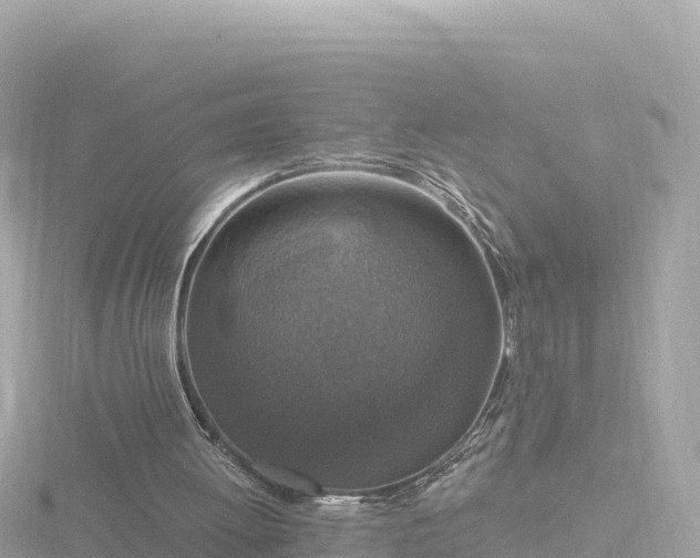 X0000116790052200912241210