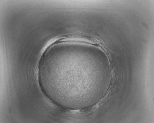 X0000116790054200912241210