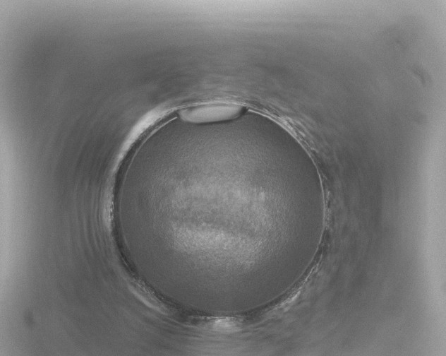 X0000116790056200912241210