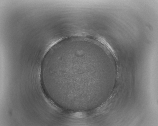 X0000116790058200912241210