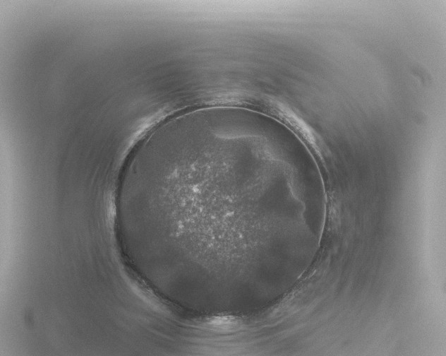 X0000116790059200912241210