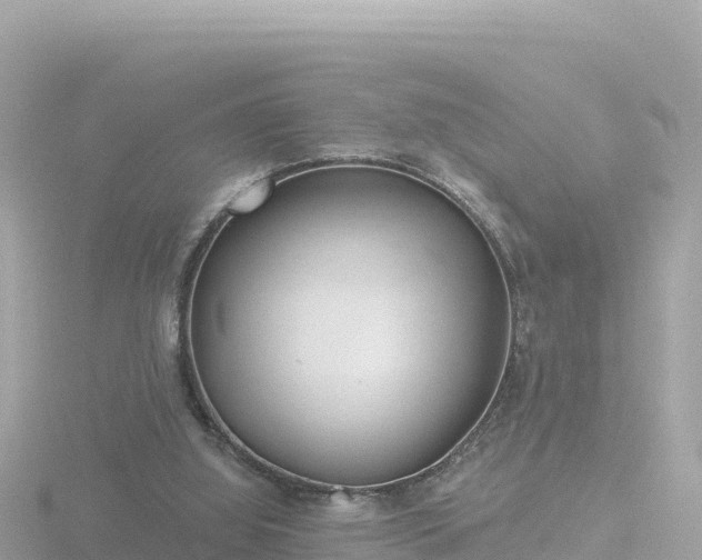 X0000116790060200912241210