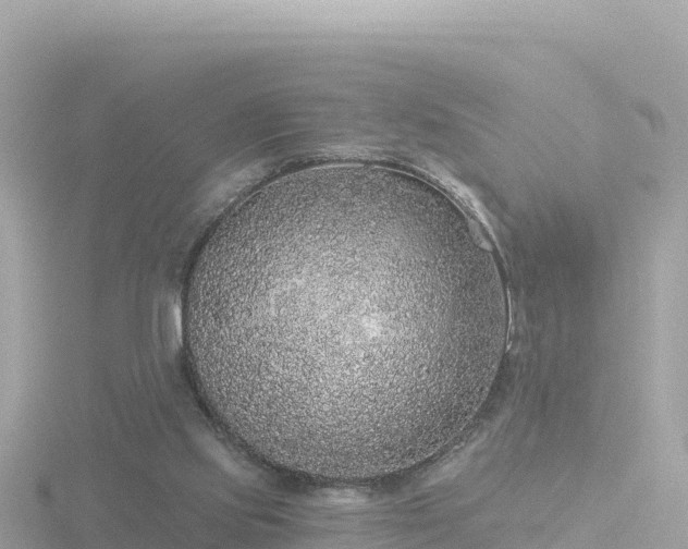 X0000116790061200912241210