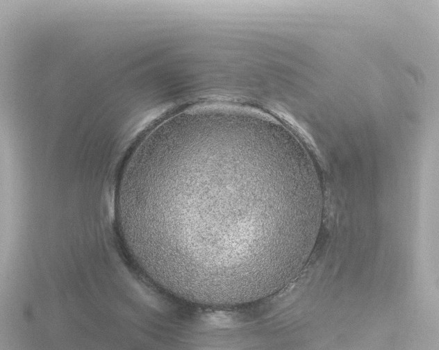 X0000116790062200912241210