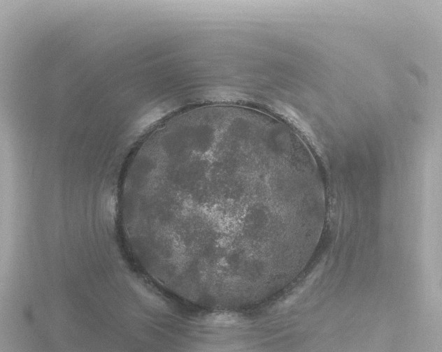 X0000116790063200912241210