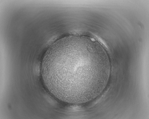 X0000116790065200912241210