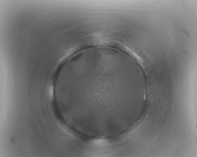 X0000116790067200912241210