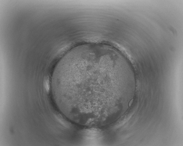 X0000116790069200912241210