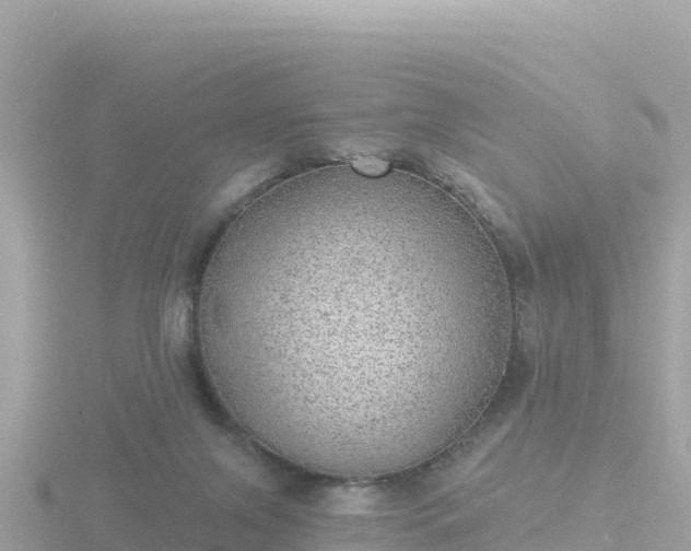 X0000116790071200912241210