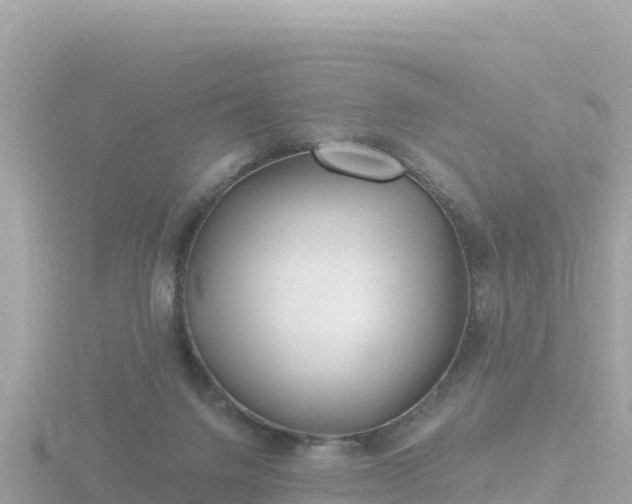 X0000116790072200912241210