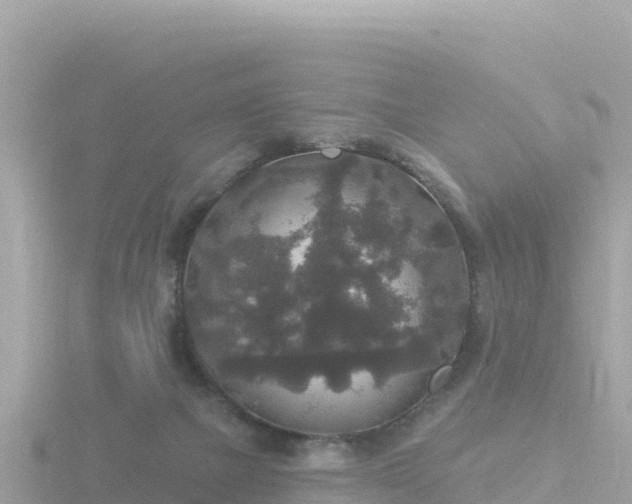 X0000116790073200912241210