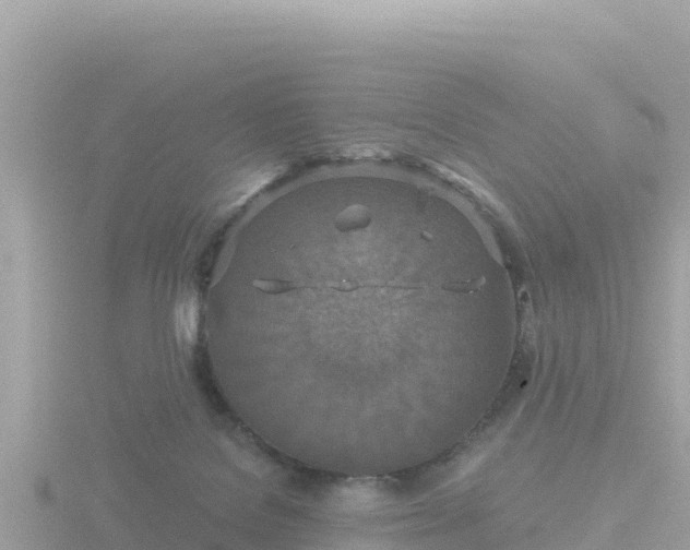 X0000116790076200912241210