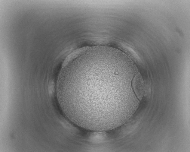 X0000116790077200912241210