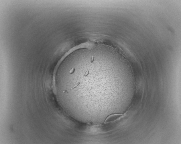 X0000116790078200912241210