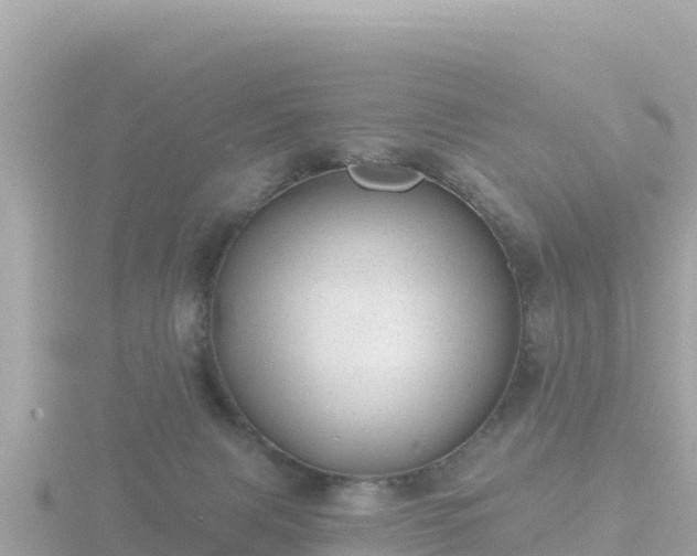 X0000116790079200912241210