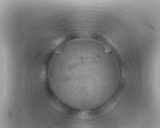 X0000116790080200912241210