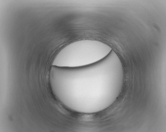 X0000116790081200912241210