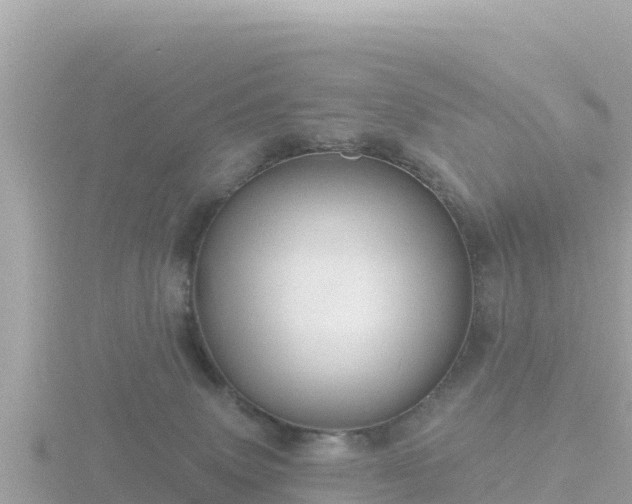 X0000116790083200912241210