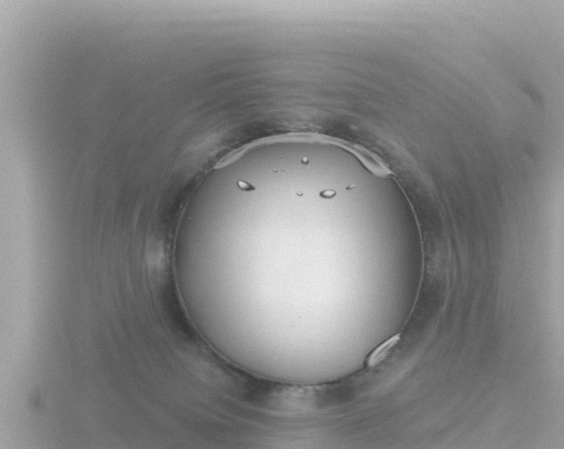 X0000116790084200912241210