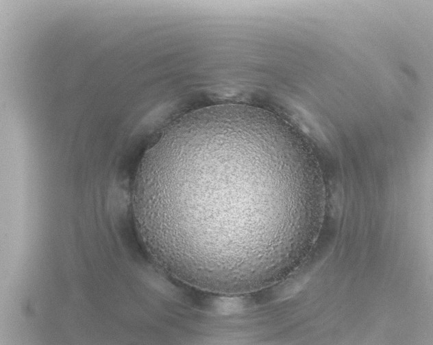 X0000116790085200912241210