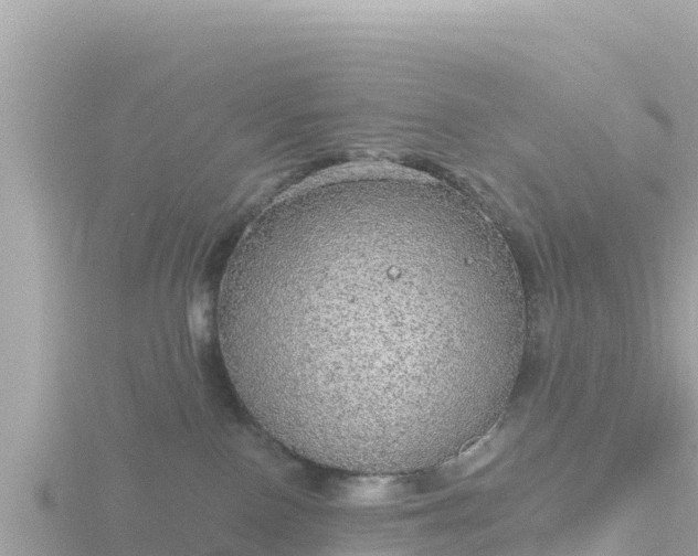 X0000116790090200912241210