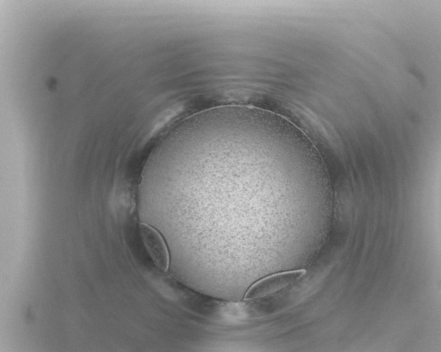 X0000116790091200912241210