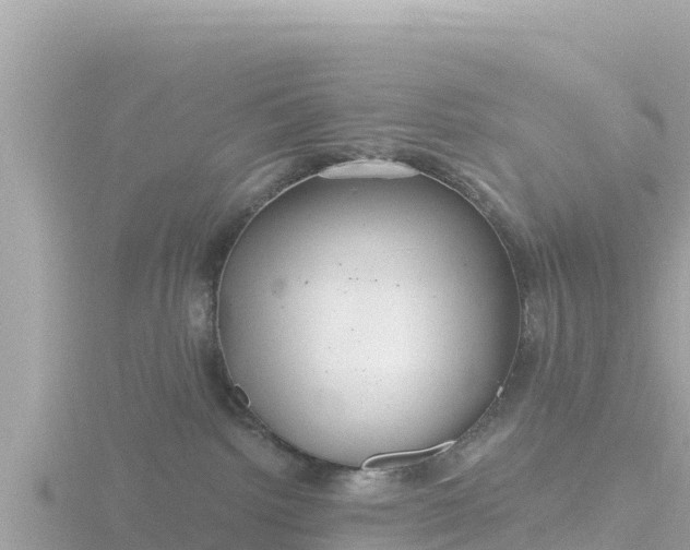 X0000116790092200912241210