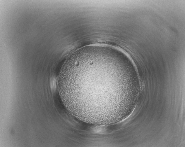 X0000116790094200912241210