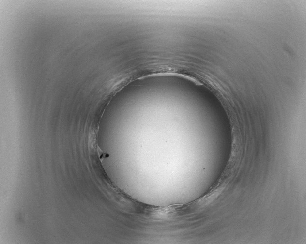 X0000116790096200912241210