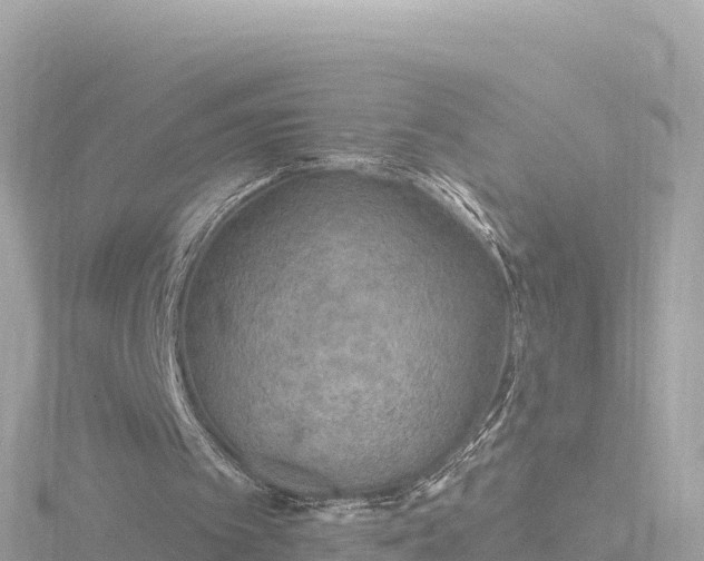 X0000116790097200912241210