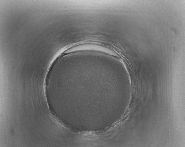 X0000116790100200912241210