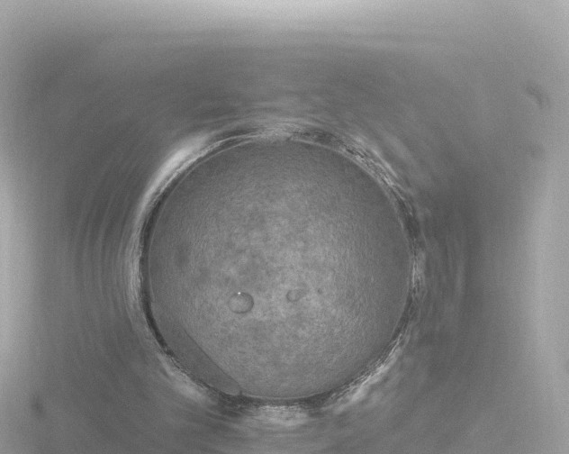 X0000116790101200912241210