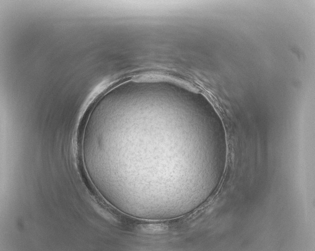 X0000116790102200912241210