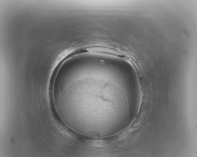 X0000116790104200912241210