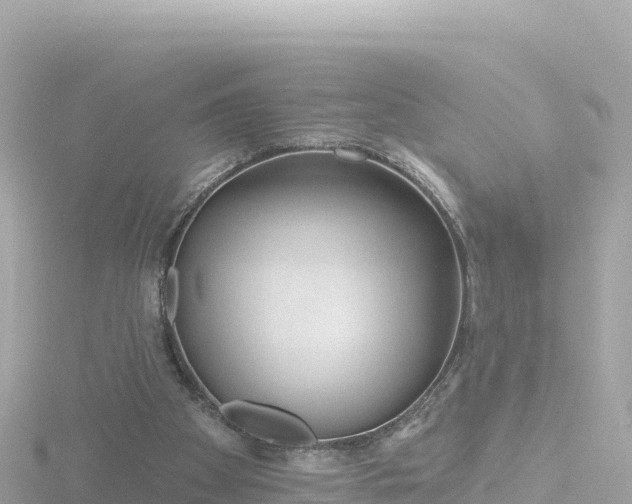 X0000116790105200912241210