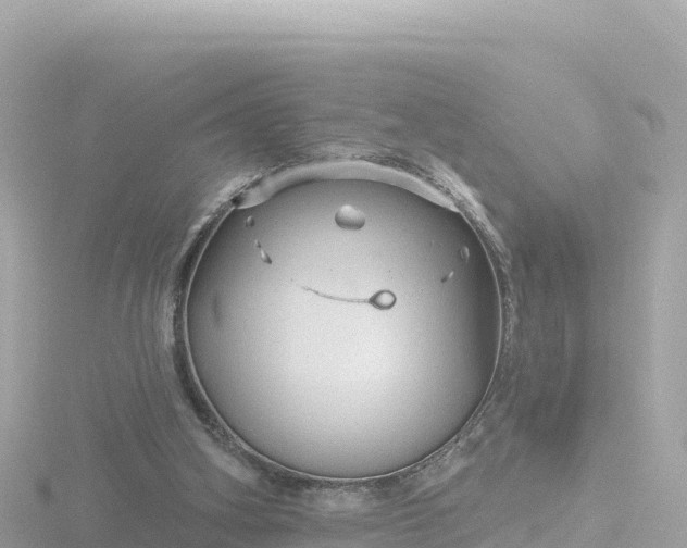 X0000116790106200912241210