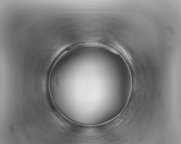 X0000116790107200912241210