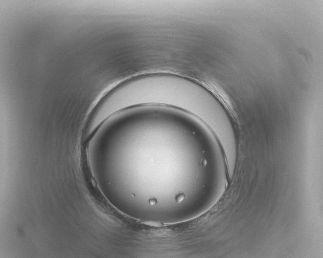 X0000116790108200912241210