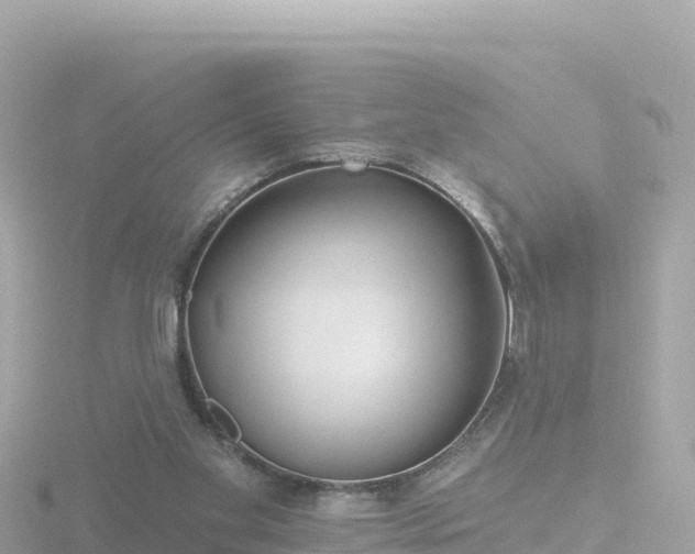 X0000116790109200912241210