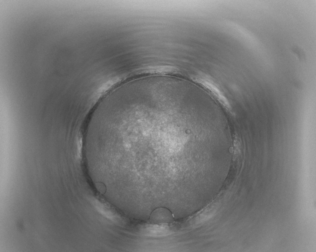 X0000116790110200912241210