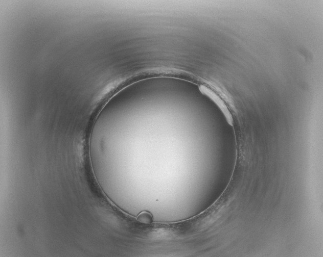 X0000116790111200912241210