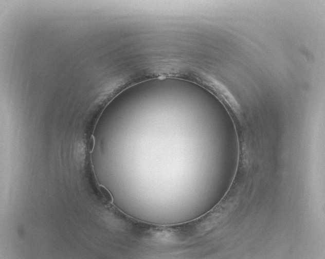 X0000116790113200912241210