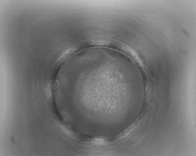 X0000116790114200912241210