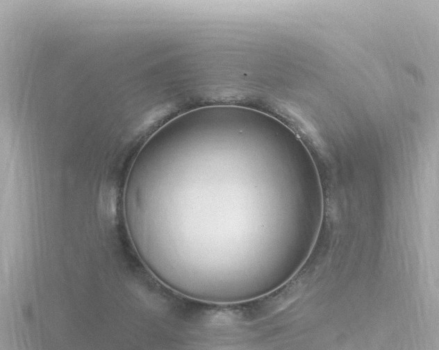 X0000116790115200912241210